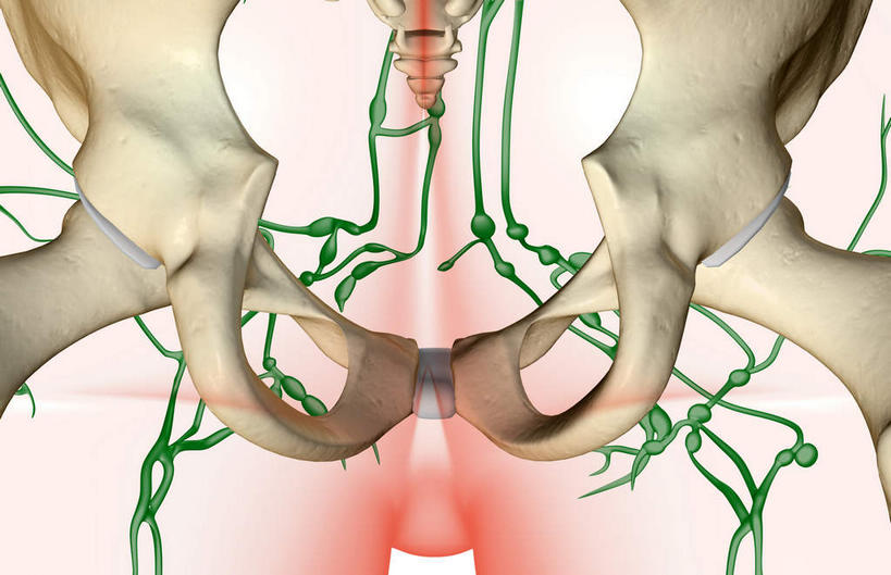 臀部,内脏,动脉,静脉,无人,横图,插画,室内,白天,白色背景,正面,数码,科技,静物,阴影,网络,医学,高光,几何,计算机图形,合成,图画,画,模型,人体,电脑合成图,数码合成图,生物学,人体器官,器官,漫画,生理学,写实,具体,具象,淋巴结,淋巴系统,淋巴管,淋巴组织,免疫系统,免疫组织,彩图