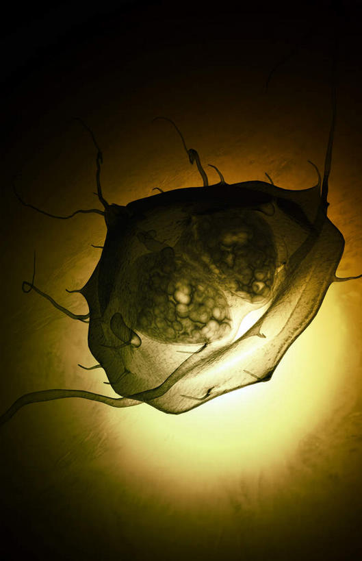 无人,竖图,插画,室内,白天,正面,数码,科技,阴影,黑色背景,微小,发光,网络,细菌,高光,几何,计算机图形,合成,图画,画,动物,电脑合成图,数码合成图,漫画,病菌,写实,具体,具象,传染,寄生,寄生虫,贾第虫,彩图,微弱