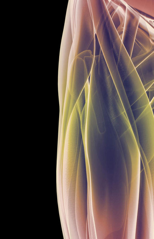 动脉,静脉,骨骼,肌肉,健壮,无人,竖图,插画,室内,特写,白天,正面,数码,科技,静物,阴影,黑色背景,网络,医学,骨头,高光,几何,计算机图形,合成,图画,画,模型,健康,活力,力量,人体,青春,电脑合成图,数码合成图,骨架,生物学,强壮,漫画,生理学,写实,具体,具象,腹直肌,彩图