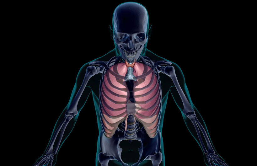 动脉,静脉,骨骼,无人,横图,插画,x光片,室内,特写,白天,正面,数码,科技,静物,阴影,黑色背景,辐射,科学,网络,医学,骨头,高光,几何,计算机图形,合成,图画,画,紫色,模型,人体,电脑合成图,数码合成图,骨架,医疗,生物学,科学技术,x射线,x光,漫画,生理学,写实,具体,具象,喉,呼吸系统,彩图,电磁波,电磁辐射