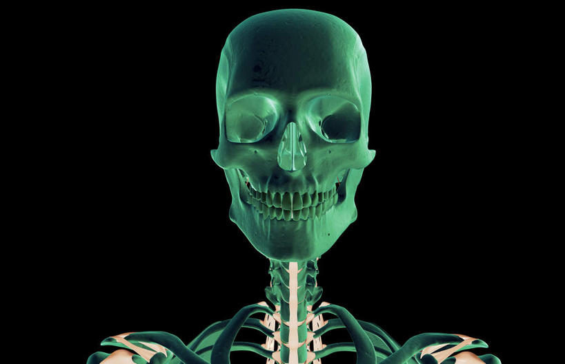 脸,头,脸颊,脖子,动脉,静脉,骨骼,无人,横图,插画,x光片,室内,特写,白天,正面,数码,科技,静物,阴影,黑色背景,辐射,科学,网络,医学,骨头,高光,几何,计算机图形,合成,图画,画,绿色,模型,人体,皮肤,电脑合成图,数码合成图,骨架,医疗,生物学,科学技术,x射线,x光,韧带,漫画,生理学,写实,具体,具象,头部,脖,颈,颈部,脸部,脸蛋,面部,彩图,前纵韧带,电磁波,电磁辐射