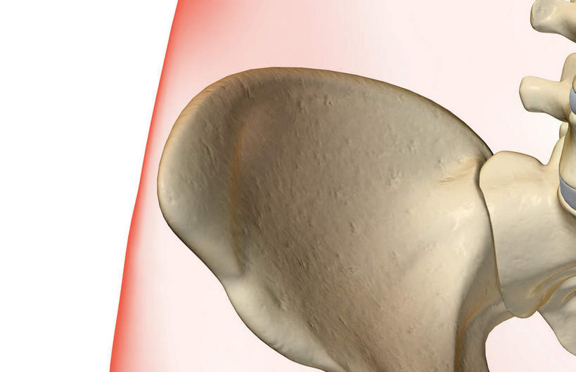 无人,横图,插画,x光片,室内,特写,白天,白色背景,正面,数码,科技,阴影,辐射,科学,网络,医学,高光,几何,计算机图形,合成,图画,画,电脑合成图,数码合成图,医疗,科学技术,x射线,x光,漫画,写实,具体,具象,髋骨,彩图,电磁波,电磁辐射