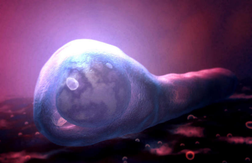 无人,横图,插画,室内,特写,白天,正面,数码,科技,静物,阴影,黑色背景,网络,医学,细胞,高光,几何,计算机图形,合成,图画,画,人体,电脑合成图,数码合成图,生物学,漫画,生理学,写实,具体,具象,破伤风杆菌,破伤风,彩图,杆状体