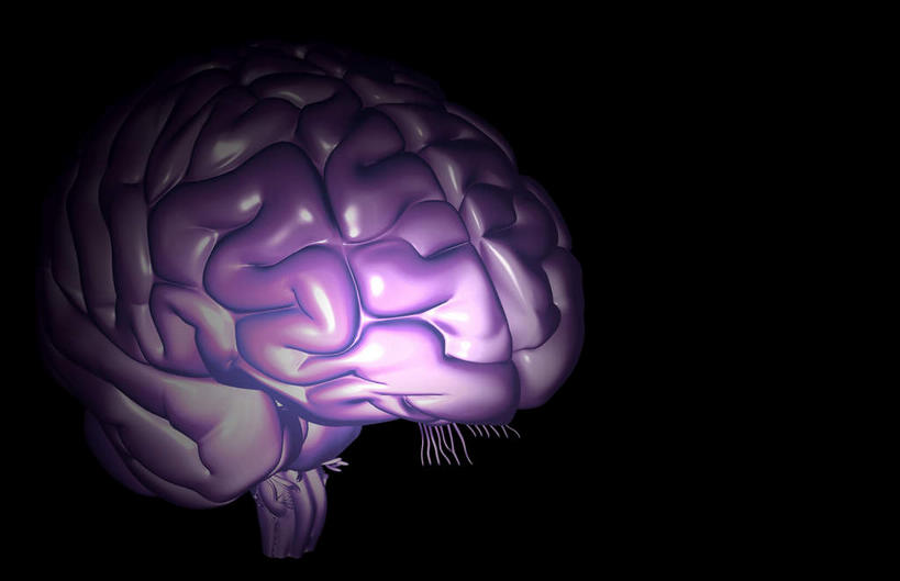 骨骼,无人,横图,x光片,室内,白天,正面,数码,科技,大脑,阴影,黑色背景,辐射,科学,网络,医学,骨头,高光,几何,计算机图形,合成,电脑合成图,数码合成图,骨架,医疗,科学技术,x射线,器官,沟壑,x光,小脑,脑干,写实,具体,具象,大脑皮层,端脑,沟,灰质,回,间脑,颞叶,彩图,电磁波,电磁辐射