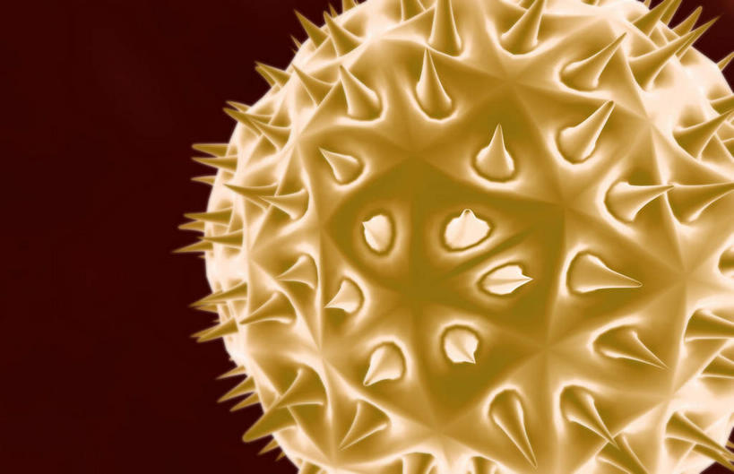 无人,横图,室内,特写,白天,正面,数码,科技,静物,阴影,黑色背景,网络,医学,细胞,高光,几何,计算机图形,合成,人体,电脑合成图,数码合成图,生物学,花粉,生理学,写实,具体,具象,彩图