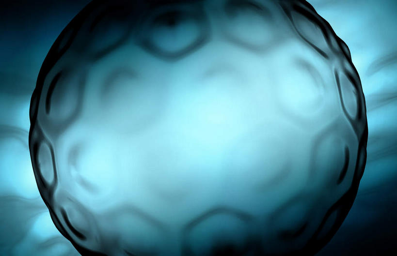 无人,横图,室内,特写,白天,正面,数码,科技,静物,阴影,网络,医学,细胞,高光,几何,计算机图形,合成,人体,生长,成长,电脑合成图,数码合成图,生物学,发展,生理学,写实,具体,具象,胚泡,彩图,胚胎