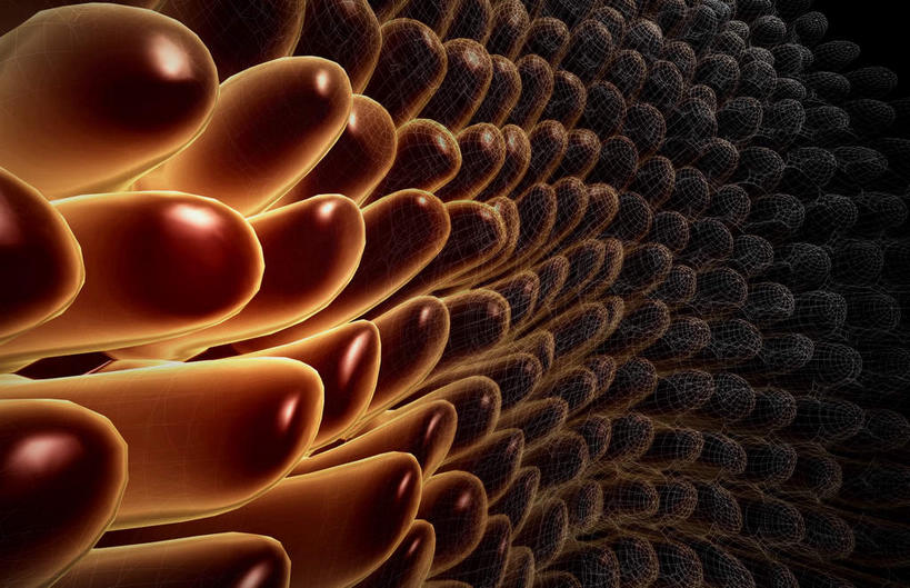 骨骼,无人,横图,x光片,室内,白天,正面,数码,科技,阴影,黑色背景,辐射,科学,网络,医学,绒毛,骨头,高光,几何,计算机图形,合成,电脑合成图,数码合成图,骨架,医疗,科学技术,x射线,x光,写实,具体,具象,肠道,彩图,电磁波,电磁辐射