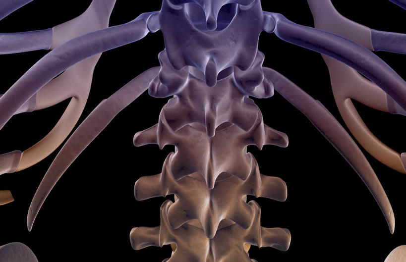 骨骼,无人,横图,x光片,室内,白天,正面,数码,科技,阴影,黑色背景,发光,辐射,科学,网络,医学,骨头,高光,几何,计算机图形,合成,蓝色,电脑合成图,数码合成图,骨架,医疗,科学技术,x射线,x光,写实,具体,具象,腰椎,彩图,电磁波,电磁辐射