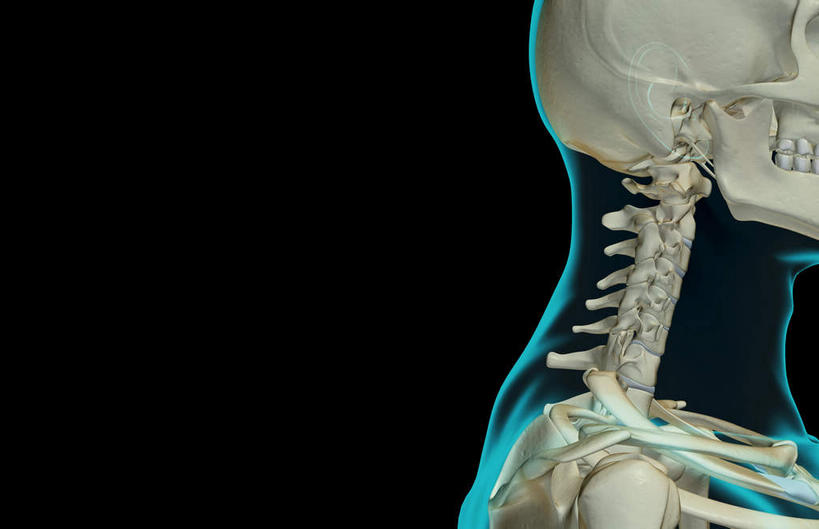 骨骼,无人,横图,x光片,室内,白天,正面,数码,科技,阴影,黑色背景,辐射,科学,网络,医学,骨头,高光,几何,计算机图形,合成,绿色,皮肤,电脑合成图,数码合成图,骨架,医疗,科学技术,x射线,x光,写实,具体,具象,外耳道,颈椎骨,彩图,电磁波,电磁辐射