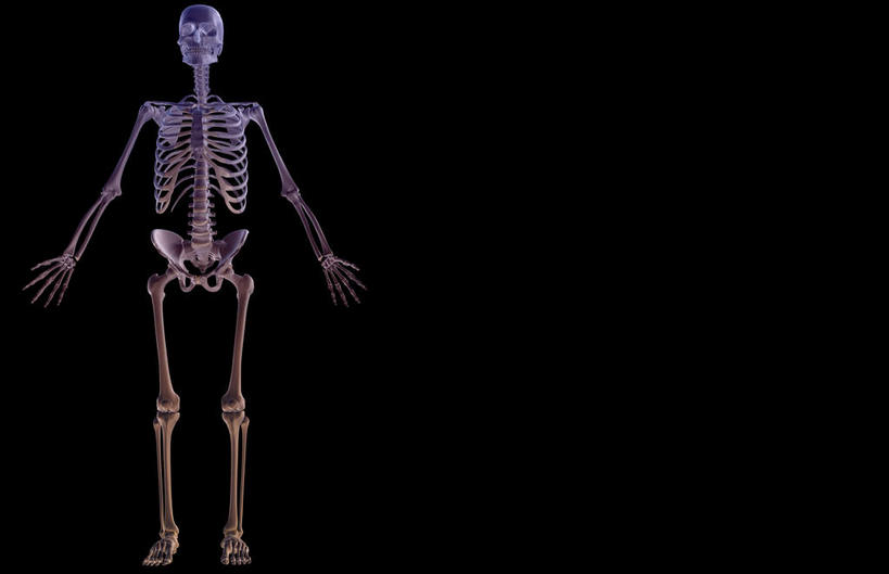 骨骼,肋骨,无人,横图,x光片,室内,白天,正面,数码,科技,阴影,黑色背景,辐射,科学,网络,医学,骨头,高光,几何,计算机图形,合成,皮肤,电脑合成图,数码合成图,骨架,医疗,科学技术,x射线,x光,写实,具体,具象,骨骼系统,半身,彩图,电磁波,电磁辐射