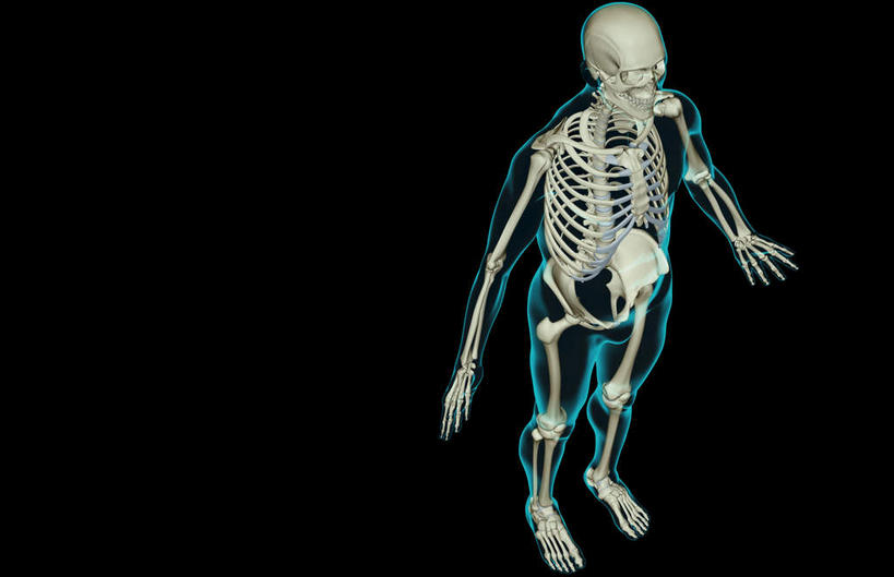 骨骼,肋骨,无人,横图,x光片,室内,白天,正面,数码,科技,阴影,黑色背景,辐射,科学,网络,医学,骨头,高光,几何,计算机图形,合成,皮肤,电脑合成图,数码合成图,骨架,医疗,科学技术,x射线,x光,写实,具体,具象,骨骼系统,半身,彩图,电磁波,电磁辐射