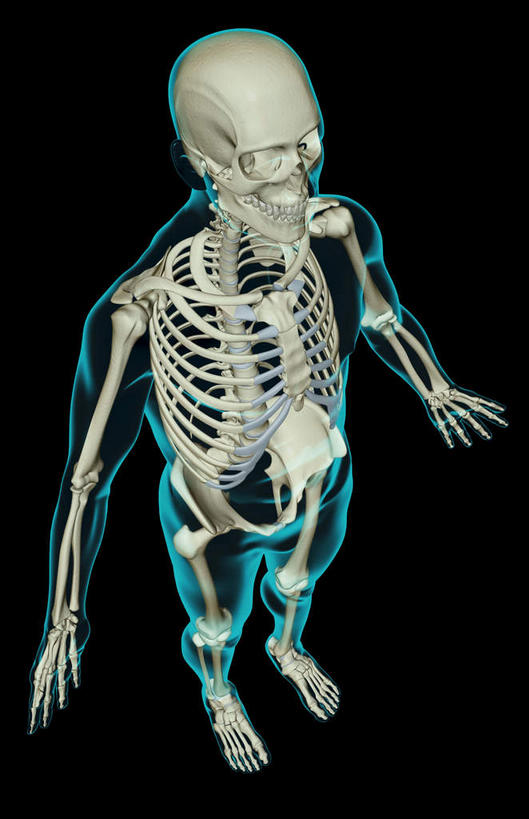 骨骼,肋骨,无人,竖图,x光片,室内,白天,正面,数码,科技,阴影,黑色背景,辐射,科学,网络,医学,骨头,高光,几何,计算机图形,合成,皮肤,电脑合成图,数码合成图,骨架,医疗,科学技术,x射线,x光,写实,具体,具象,骨骼系统,半身,彩图,电磁波,电磁辐射