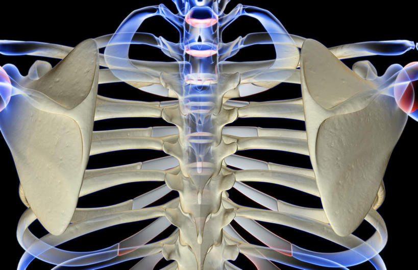 肩关节,骨骼,无人,横图,x光片,室内,白天,正面,数码,科技,阴影,黑色背景,发光,辐射,科学,网络,医学,骨头,高光,几何,计算机图形,合成,蓝色,电脑合成图,数码合成图,骨架,医疗,科学技术,x射线,x光,写实,具体,具象,胸椎骨,彩图,电磁波,电磁辐射