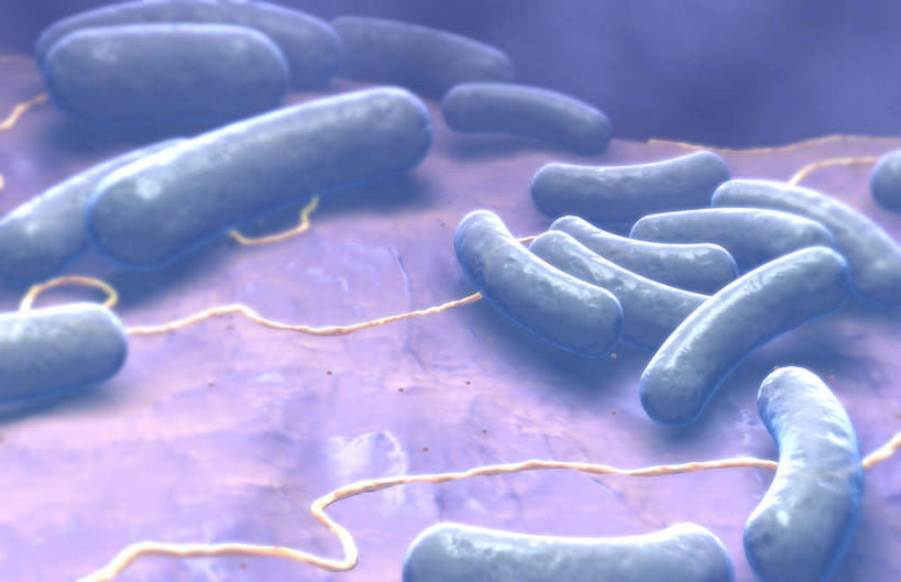 无人,横图,插画,室内,特写,白天,白色背景,正面,数码,科技,微生物,静物,阴影,网络,细菌,医学,细胞,高光,几何,计算机图形,合成,图画,画,人体,电脑合成图,数码合成图,生物学,漫画,生理学,写实,具体,具象,生命体,大肠杆菌,大肠埃希氏菌,肠道菌群,彩图