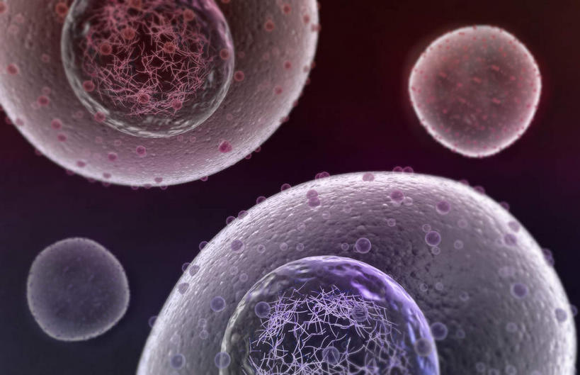 无人,横图,插画,室内,特写,白天,正面,数码,科技,静物,阴影,黑色背景,网络,医学,细胞,高光,几何,计算机图形,合成,图画,画,人体,电脑合成图,数码合成图,生物学,破裂,分裂,漫画,生理学,写实,具体,具象,细胞分裂,有丝分裂,割裂,盘据,彩图,决裂