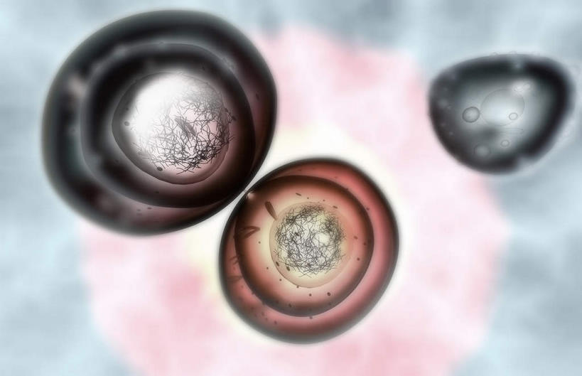 无人,横图,插画,室内,特写,白天,白色背景,正面,数码,科技,静物,阴影,网络,医学,细胞,高光,几何,计算机图形,合成,图画,画,人体,电脑合成图,数码合成图,生物学,破裂,分裂,漫画,生理学,写实,具体,具象,细胞分裂,有丝分裂,割裂,盘据,彩图,决裂