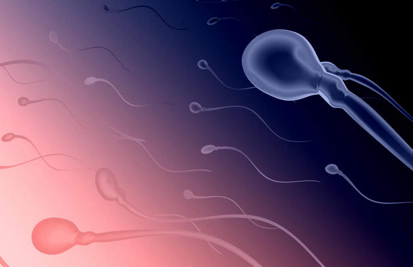 无人,横图,插画,室内,特写,白天,白色背景,正面,数码,科技,静物,阴影,网络,医学,细胞,高光,几何,计算机图形,合成,图画,画,精子,人体,电脑合成图,数码合成图,生物学,漫画,生理学,写实,具体,具象,彩图