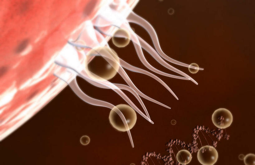 无人,横图,插画,室内,特写,白天,正面,数码,科技,静物,阴影,发光,科学,网络,基因,医学,细胞,高光,几何,计算机图形,合成,图画,画,红色,生物,人体,遗传,电脑合成图,数码合成图,疾病,生物学,脱氧核糖核酸,艾滋病,漫画,生理学,写实,具体,具象,传染,传染病,DNA分子,HIV病毒,后天性免疫缺陷症候群,获得性免疫缺陷综合症,流行症,慢性病,去氧核糖核酸,人类免疫缺陷病毒,遗传信息,遗传因子,症候群,综合症,遗传学,致命,艾滋,艾滋病病毒,彩图,感染