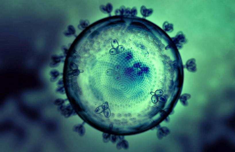 无人,横图,插画,室内,特写,白天,正面,数码,科技,静物,阴影,发光,网络,医学,细胞,高光,几何,计算机图形,合成,图画,画,绿色,人体,电脑合成图,数码合成图,疾病,生物学,艾滋病,漫画,生理学,写实,具体,具象,传染,传染病,HIV病毒,后天性免疫缺陷症候群,获得性免疫缺陷综合症,流行症,慢性病,人类免疫缺陷病毒,症候群,综合症,致命,艾滋,艾滋病病毒,彩图,感染