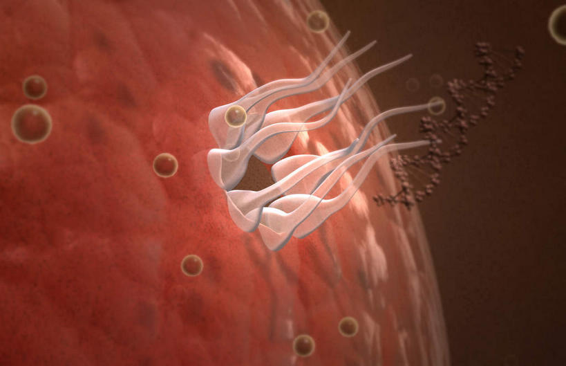 无人,横图,插画,室内,特写,白天,正面,数码,科技,静物,阴影,网络,医学,细胞,高光,几何,计算机图形,合成,图画,画,红色,人体,电脑合成图,数码合成图,疾病,生物学,艾滋病,漫画,生理学,写实,具体,具象,传染,传染病,HIV病毒,后天性免疫缺陷症候群,获得性免疫缺陷综合症,流行症,慢性病,人类免疫缺陷病毒,症候群,综合症,致命,艾滋,艾滋病病毒,彩图,感染