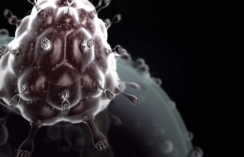 无人,横图,插画,室内,特写,白天,正面,数码,科技,静物,阴影,网络,医学,细胞,高光,几何,计算机图形,合成,图画,画,黑色,人体,电脑合成图,数码合成图,疾病,生物学,艾滋病,漫画,生理学,写实,具体,具象,传染,传染病,HIV病毒,后天性免疫缺陷症候群,获得性免疫缺陷综合症,流行症,慢性病,人类免疫缺陷病毒,症候群,综合症,致命,艾滋,艾滋病病毒,彩图,感染