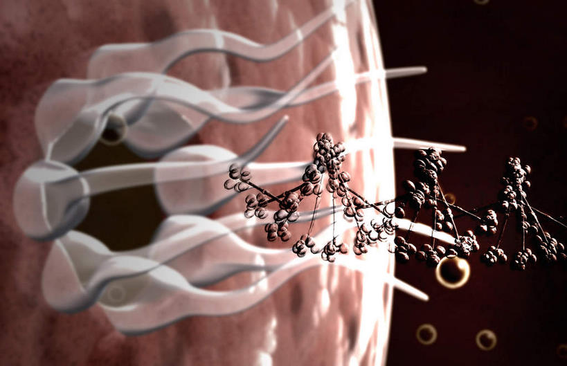 无人,横图,插画,室内,特写,白天,正面,数码,科技,静物,阴影,科学,网络,基因,医学,细胞,高光,几何,计算机图形,合成,图画,画,生物,人体,遗传,电脑合成图,数码合成图,疾病,生物学,脱氧核糖核酸,艾滋病,漫画,生理学,写实,具体,具象,传染,传染病,DNA分子,HIV病毒,后天性免疫缺陷症候群,获得性免疫缺陷综合症,流行症,慢性病,去氧核糖核酸,人类免疫缺陷病毒,遗传信息,遗传因子,症候群,综合症,遗传学,致命,艾滋,艾滋病病毒,彩图,感染