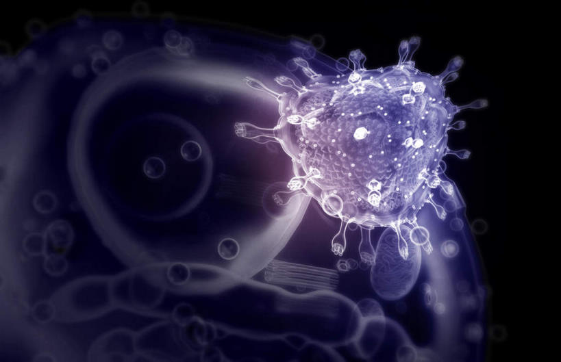 无人,横图,插画,室内,特写,白天,正面,数码,科技,静物,阴影,发光,网络,医学,细胞,高光,几何,计算机图形,合成,图画,画,紫色,人体,电脑合成图,数码合成图,疾病,生物学,艾滋病,漫画,生理学,写实,具体,具象,传染,传染病,HIV病毒,后天性免疫缺陷症候群,获得性免疫缺陷综合症,流行症,慢性病,人类免疫缺陷病毒,症候群,综合症,致命,艾滋,艾滋病病毒,彩图,感染