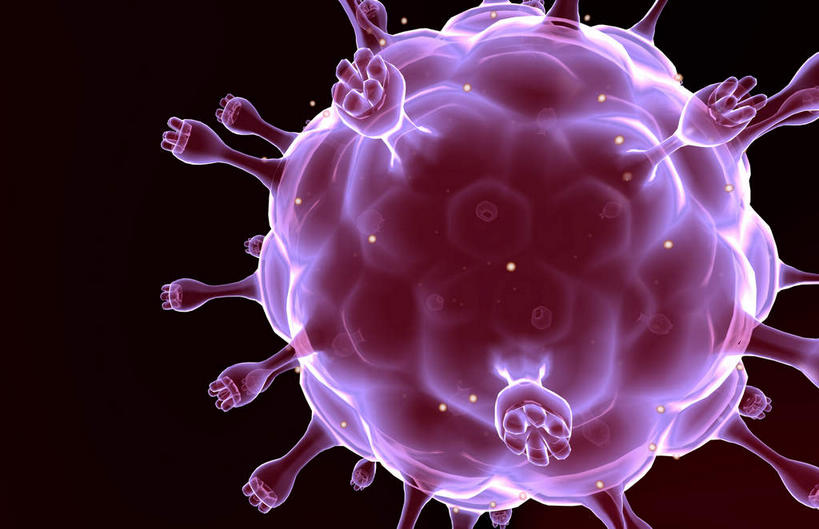 无人,横图,插画,室内,特写,白天,正面,数码,科技,静物,阴影,发光,网络,医学,细胞,高光,几何,计算机图形,合成,图画,画,紫色,人体,电脑合成图,数码合成图,疾病,生物学,艾滋病,漫画,生理学,写实,具体,具象,传染,传染病,HIV病毒,后天性免疫缺陷症候群,获得性免疫缺陷综合症,流行症,慢性病,人类免疫缺陷病毒,症候群,综合症,致命,艾滋,艾滋病病毒,彩图,感染