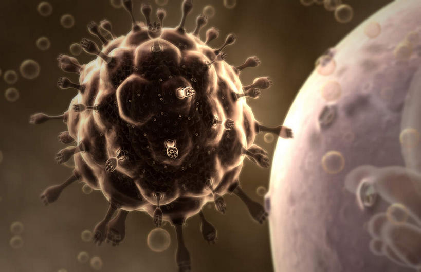 无人,横图,插画,室内,特写,白天,正面,数码,科技,静物,阴影,发光,网络,医学,细胞,棕色,高光,几何,计算机图形,合成,图画,画,人体,电脑合成图,数码合成图,疾病,生物学,艾滋病,漫画,生理学,写实,具体,具象,传染,传染病,HIV病毒,后天性免疫缺陷症候群,获得性免疫缺陷综合症,流行症,慢性病,人类免疫缺陷病毒,症候群,综合症,致命,艾滋,艾滋病病毒,彩图,感染