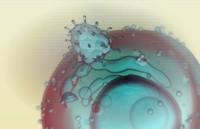 无人,横图,插画,室内,特写,白天,正面,数码,科技,静物,阴影,网络,医学,细胞,高光,几何,计算机图形,合成,图画,画,绿色,人体,电脑合成图,数码合成图,疾病,生物学,艾滋病,漫画,生理学,写实,具体,具象,传染,传染病,HIV病毒,后天性免疫缺陷症候群,获得性免疫缺陷综合症,流行症,慢性病,人类免疫缺陷病毒,症候群,综合症,致命,艾滋,艾滋病病毒,彩图,感染