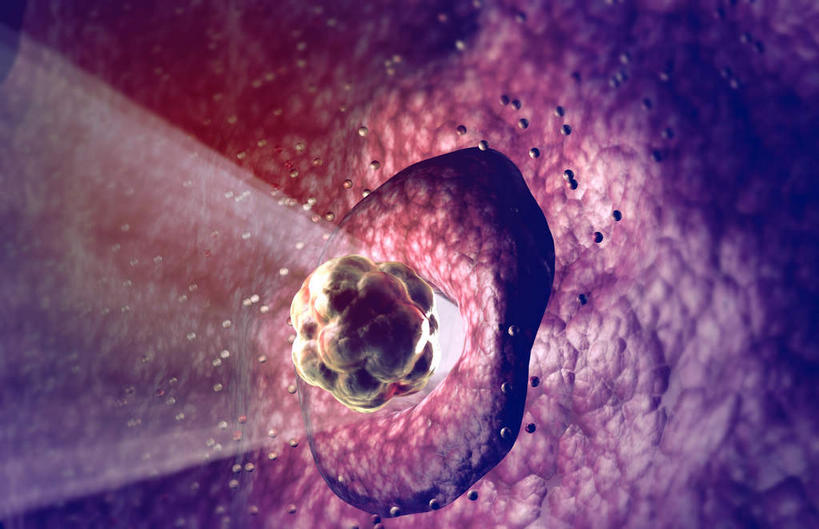 无人,横图,插画,室内,特写,白天,正面,数码,科技,静物,阴影,网络,医学,细胞,高光,几何,计算机图形,合成,图画,画,精子,人体,电脑合成图,数码合成图,生物学,卵子,漫画,生理学,写实,具体,具象,受精,受精作用,彩图,受精卵