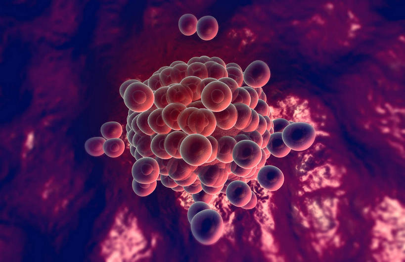 无人,横图,插画,室内,特写,白天,正面,数码,科技,静物,阴影,网络,医学,细胞,高光,几何,计算机图形,合成,图画,画,人体,生长,成长,电脑合成图,数码合成图,胎儿,生物学,发育,卵子,漫画,孕育,生理学,写实,具体,具象,胚泡,胚胎移植,彩图,胚胎