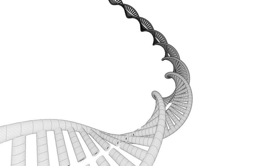 无人,横图,黑白,插画,室内,特写,白天,白色背景,正面,数码,科技,静物,阴影,科学,网络,基因,医学,细胞,高光,几何,计算机图形,合成,图画,画,灰色,生物,人体,遗传,电脑合成图,数码合成图,生物学,脱氧核糖核酸,漫画,DNA双螺旋结构,生理学,写实,具体,具象,DNA分子,去氧核糖核酸,遗传信息,遗传因子,遗传学