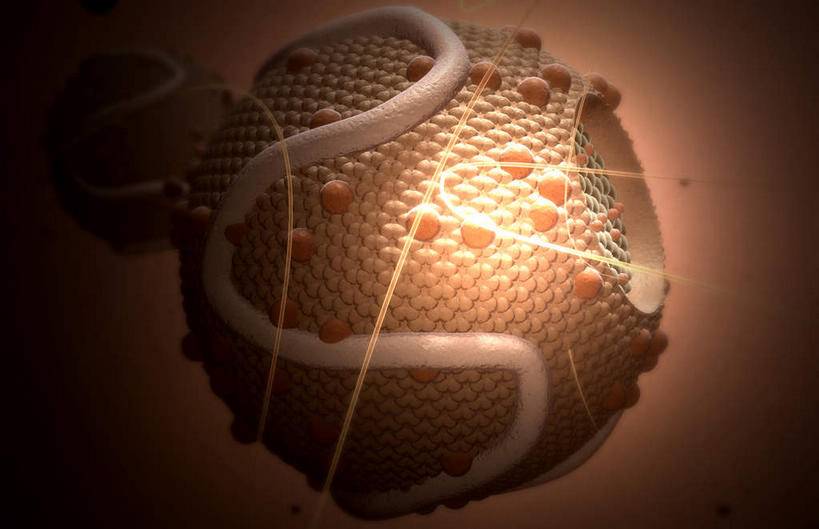 无人,横图,插画,室内,特写,白天,正面,数码,科技,静物,阴影,发光,网络,医学,圆形,细胞,高光,几何,计算机图形,合成,图画,画,红色,人体,电脑合成图,数码合成图,生物学,蛋白质,漫画,生理学,写实,具体,具象,脂蛋白,彩图