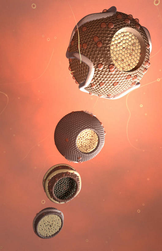 无人,竖图,插画,室内,特写,白天,正面,数码,科技,静物,一排,阴影,整齐,网络,医学,圆形,细胞,高光,几何,计算机图形,合成,图画,画,排列,四个,人体,电脑合成图,数码合成图,生物学,队列,蛋白质,漫画,生理学,写实,具体,具象,脂蛋白,彩图