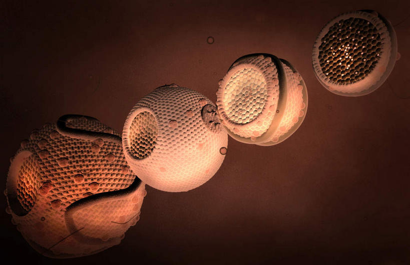 无人,横图,插画,室内,特写,白天,正面,数码,科技,静物,一排,阴影,整齐,发光,网络,医学,圆形,细胞,高光,几何,计算机图形,合成,图画,画,排列,红色,人体,电脑合成图,数码合成图,生物学,队列,蛋白质,漫画,生理学,写实,具体,具象,脂蛋白,彩图