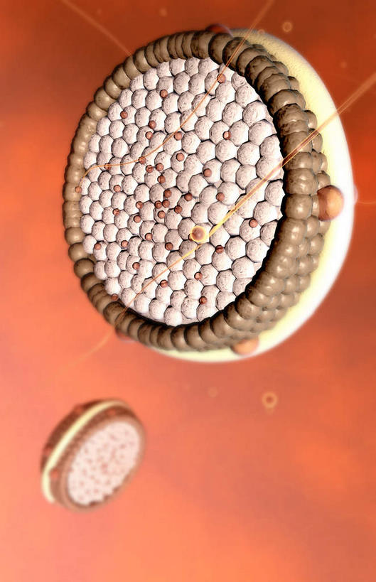 无人,竖图,插画,室内,特写,白天,正面,数码,科技,静物,阴影,光线,网络,医学,圆形,细胞,影子,灯光,高光,几何,计算机图形,合成,图画,画,两个,人体,电脑合成图,数码合成图,生物学,蛋白质,漫画,生理学,写实,具体,具象,脂蛋白,彩图