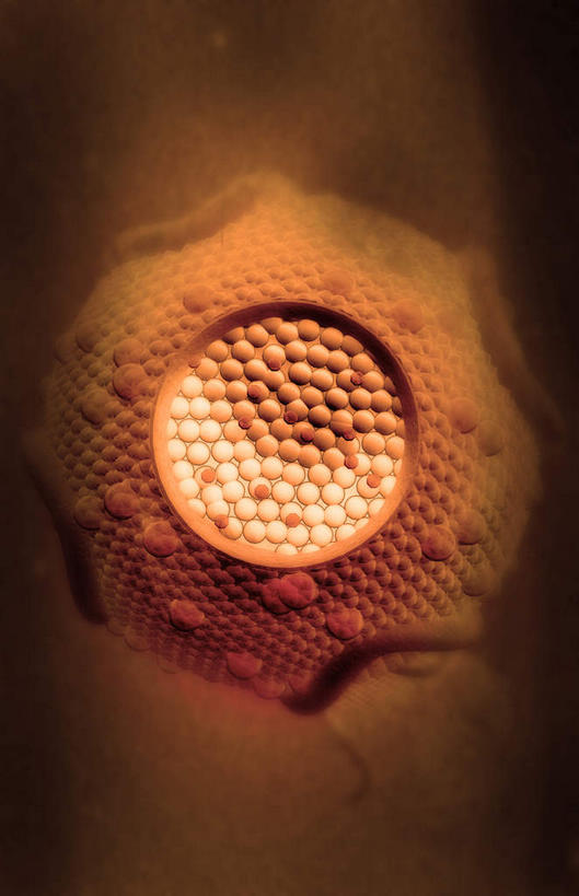 无人,竖图,插画,室内,特写,白天,正面,数码,科技,静物,阴影,网络,医学,圆形,细胞,高光,几何,计算机图形,合成,图画,画,一个,人体,单个,电脑合成图,数码合成图,生物学,蛋白质,漫画,生理学,写实,具体,具象,脂蛋白,彩图