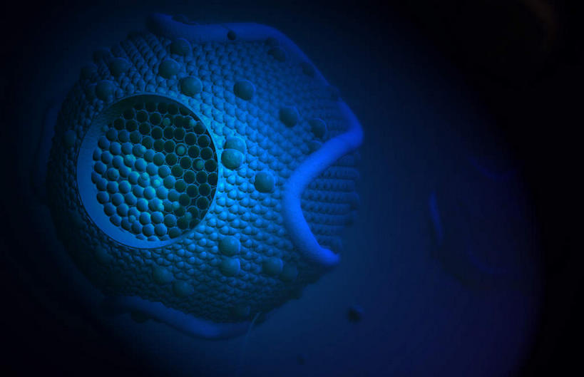 无人,横图,插画,室内,特写,白天,正面,数码,科技,静物,阴影,网络,医学,圆形,细胞,高光,几何,计算机图形,合成,图画,画,一个,蓝色,人体,单个,电脑合成图,数码合成图,生物学,蛋白质,漫画,生理学,写实,具体,具象,脂蛋白,彩图