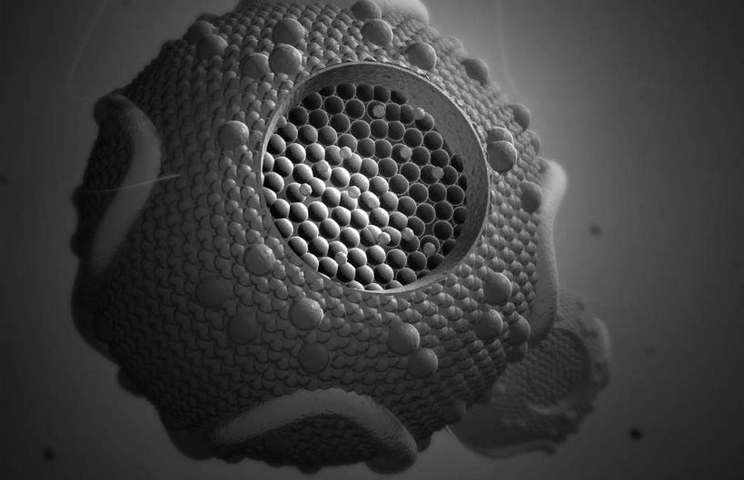 无人,横图,黑白,插画,室内,特写,白天,正面,数码,科技,静物,阴影,网络,医学,圆形,细胞,高光,几何,计算机图形,合成,图画,画,一个,灰色,人体,单个,电脑合成图,数码合成图,生物学,蛋白质,漫画,生理学,写实,具体,具象,脂蛋白