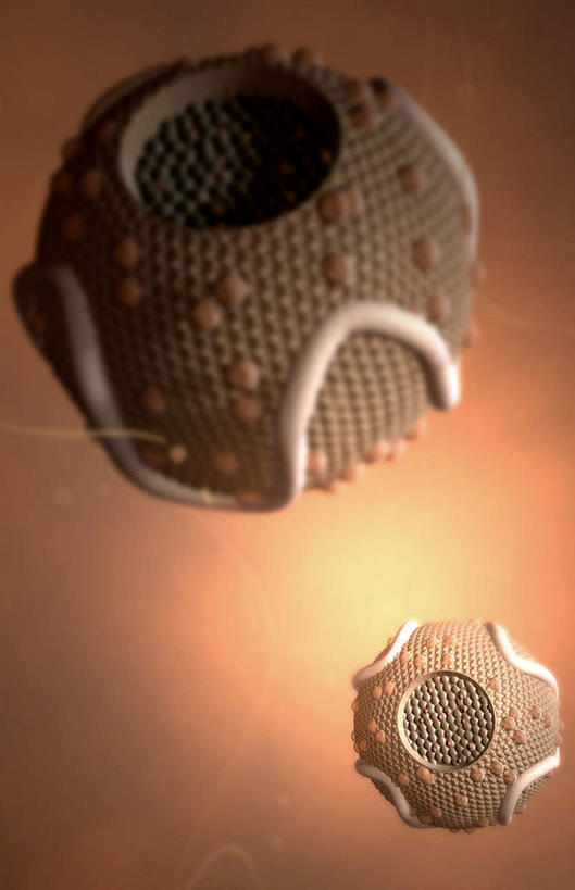 无人,竖图,插画,室内,特写,白天,正面,数码,科技,静物,阴影,光线,网络,医学,圆形,细胞,影子,灯光,高光,几何,计算机图形,合成,图画,画,两个,人体,电脑合成图,数码合成图,生物学,蛋白质,漫画,生理学,写实,具体,具象,脂蛋白,彩图