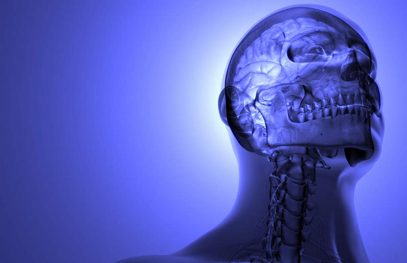 脑,动脉,静脉,骨骼,无人,横图,插画,室内,特写,白天,正面,数码,科技,静物,阴影,蓝色背景,辐射,光线,科学,网络,医学,影子,灯光,骨头,高光,几何,计算机图形,合成,图画,画,蓝色,模型,人体,电脑合成图,数码合成图,骨架,生物学,科学技术,x射线,x光,漫画,生理学,写实,具体,具象,颞叶,颈神经,颈丛,脑部,脑子,半身,彩图,电磁波,电磁辐射