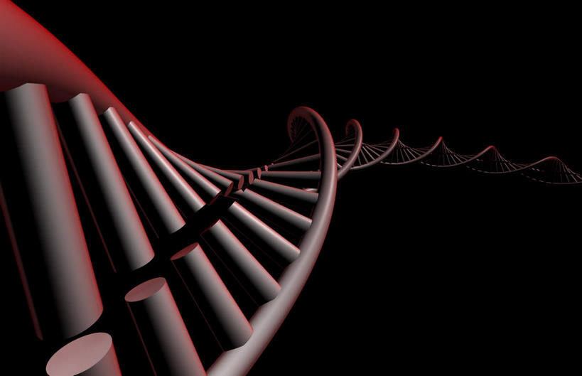 无人,横图,插画,室内,特写,白天,正面,数码,科技,阴影,黑色背景,科学,网络,基因,高光,几何,计算机图形,合成,图画,画,生物,遗传,电脑合成图,数码合成图,脱氧核糖核酸,漫画,写实,具体,具象,DNA分子,去氧核糖核酸,遗传信息,遗传因子,遗传学,胞嘧啶,核苷酸,鸟嘌呤,胸腺嘧啶,半身,彩图