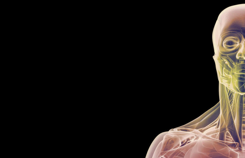 动脉,静脉,骨骼,肌肉,健壮,无人,横图,插画,室内,特写,白天,正面,数码,科技,静物,阴影,黑色背景,网络,医学,骨头,高光,几何,计算机图形,合成,图画,画,模型,健康,活力,力量,人体,青春,电脑合成图,数码合成图,骨架,生物学,强壮,漫画,生理学,写实,具体,具象,胸锁乳突肌,口轮匝肌,半身,彩图