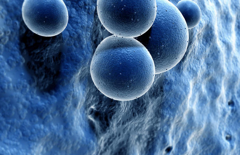 无人,横图,插画,室内,特写,白天,正面,数码,科技,微生物,静物,阴影,黑色背景,网络,细菌,医学,细胞,高光,几何,计算机图形,合成,图画,画,蓝色,人体,电脑合成图,数码合成图,生物学,漫画,生理学,写实,具体,具象,葡萄球菌,彩图