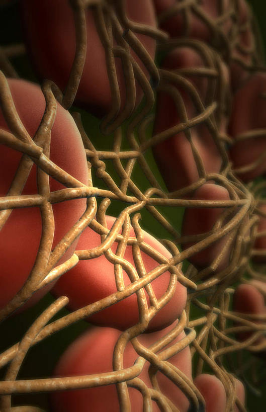 无人,竖图,插画,室内,特写,白天,正面,数码,科技,静物,阴影,黑色背景,网络,医学,细胞,蛋白,高光,几何,计算机图形,合成,图画,画,人体,纤维,电脑合成图,数码合成图,生物学,漫画,生理学,写实,具体,具象,纤维蛋白,彩图