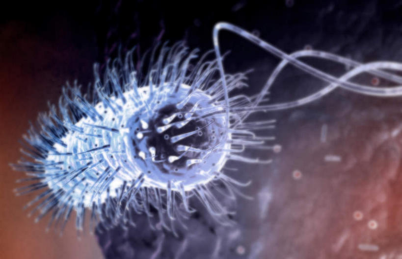 无人,横图,插画,室内,特写,白天,正面,数码,分子,科技,微生物,阴影,红色背景,网络,细菌,医学,高光,几何,计算机图形,合成,图画,画,蓝色,生物,电脑合成图,数码合成图,医疗,病毒,生物学,漫画,写实,具体,具象,寄生,生命体,螺旋杆菌,幽门螺杆菌,幽门螺旋杆菌,彩图