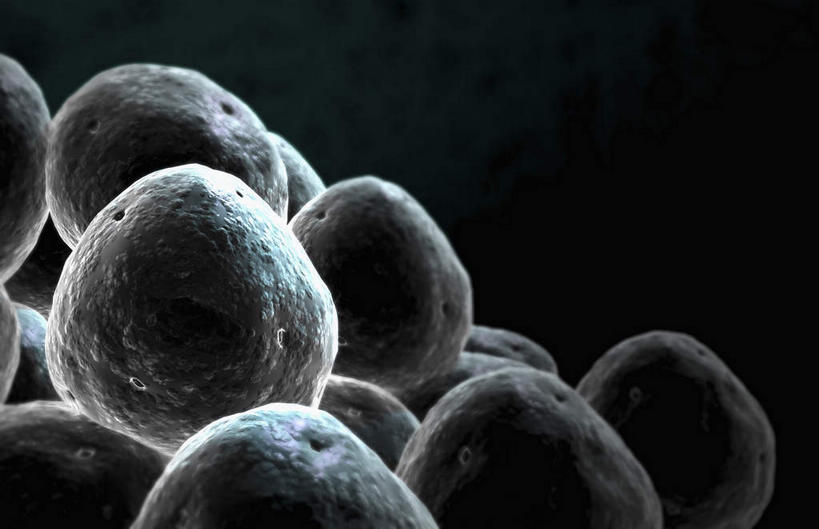 无人,横图,插画,室内,特写,白天,正面,数码,科技,静物,许多,阴影,黑色背景,网络,医学,细胞,高光,几何,计算机图形,合成,图画,画,黑色,人体,电脑合成图,数码合成图,生物学,漫画,生理学,写实,具体,具象,细胞膜,彩图