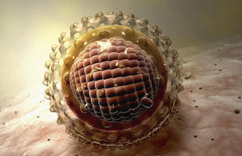 无人,横图,插画,室内,特写,白天,正面,数码,分子,科技,微生物,阴影,黑色背景,网络,医学,高光,几何,计算机图形,合成,图画,画,生物,电脑合成图,数码合成图,医疗,病毒,生物学,漫画,写实,具体,具象,寄生,生命体,致命,肝炎,肝炎病毒,彩图