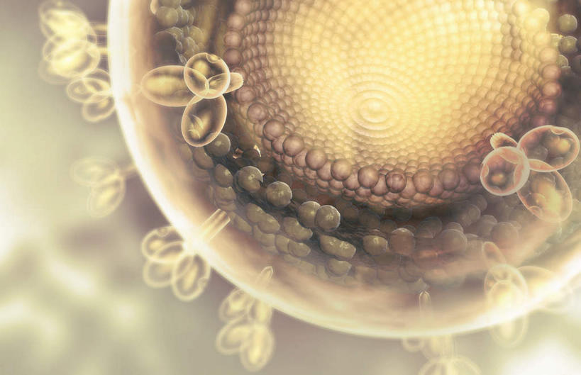 无人,横图,插画,室内,白天,正面,数码,分子,科技,微生物,阴影,网络,医学,高光,几何,计算机图形,合成,图画,画,生物,电脑合成图,数码合成图,医疗,病毒,生物学,艾滋病,漫画,写实,具体,具象,寄生,生命体,致命,艾滋病病毒,彩图